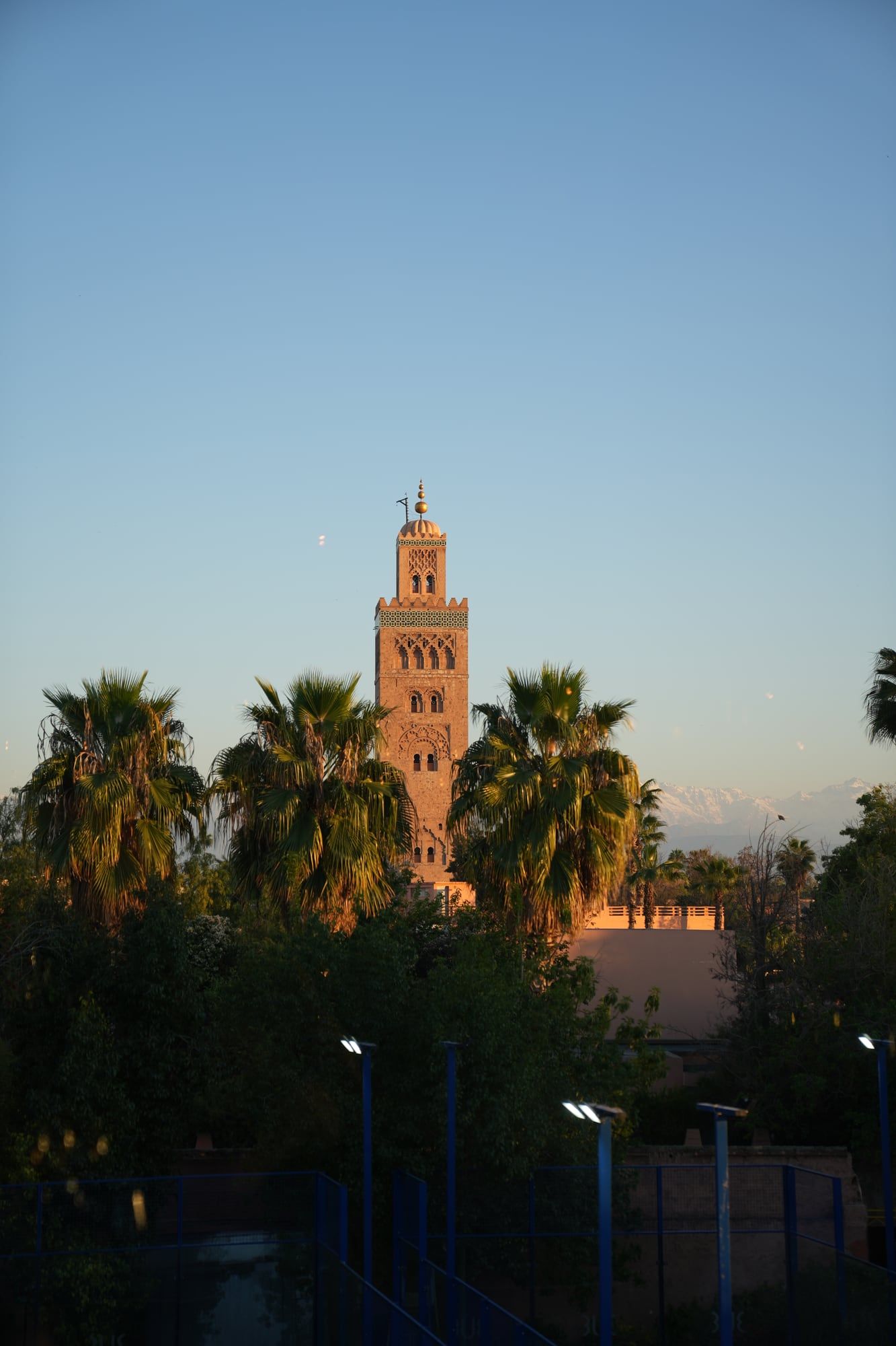 Koutoubia mosque minaret and palm trees at dusk in Marrakech